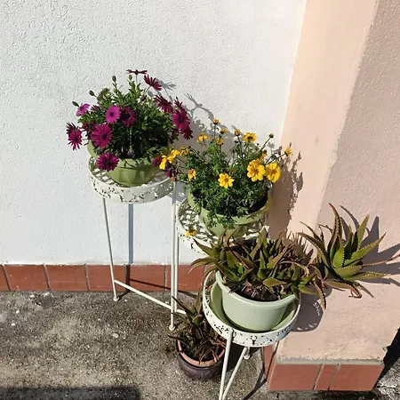 Appartement Rox - 027023-loc-00174 *